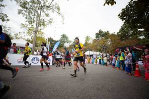 BIB: 
                            <button type="button" onclick="openModal(13715326)" class="btn btn-primary btn-sm float-right btn-popup" data-toggle="modal" data-target=".modal-high-quality">
                        <i class="fas fa-shopping-cart"></i> Add to Cart
                    </button>
                                            <button type="button" onclick="isThisMe(13715326, true)" class="btn btn-success btn-sm float-right btn-popup btn-isme hidden" data-toggle="tooltip" data-placement="bottom" title="นี่คือรูปของคุณใช่ไหม คลิกที่นี่เพื่อเอาเข้าอัลบั้ม">
                        <i class="fas fa-plus"></i> Add to album
                    </button>
                    <button type="button" onclick="isThisMe(13715326, false)" class="btn btn-warning btn-sm float-right btn-popup btn-isnotme hidden">
                        <i class="fas fa-ban"></i> Remove from album
                    </button>